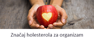 znacaj-holesterola-za-organizam
