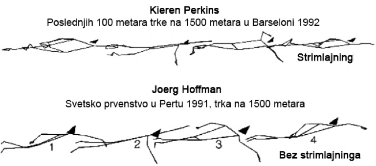 Perkins-Hoffman-analiza